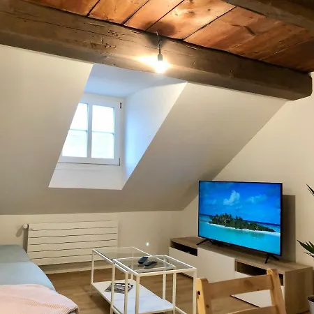 Old Town Apartments Bern Exterior photo