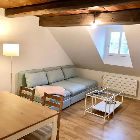 Old Town Apartments Bern Exterior photo